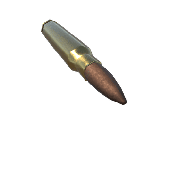 5,56 x 45 mm NATO Round_1